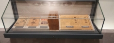 踏上博物馆展柜探索之旅，领略文物守护魅力